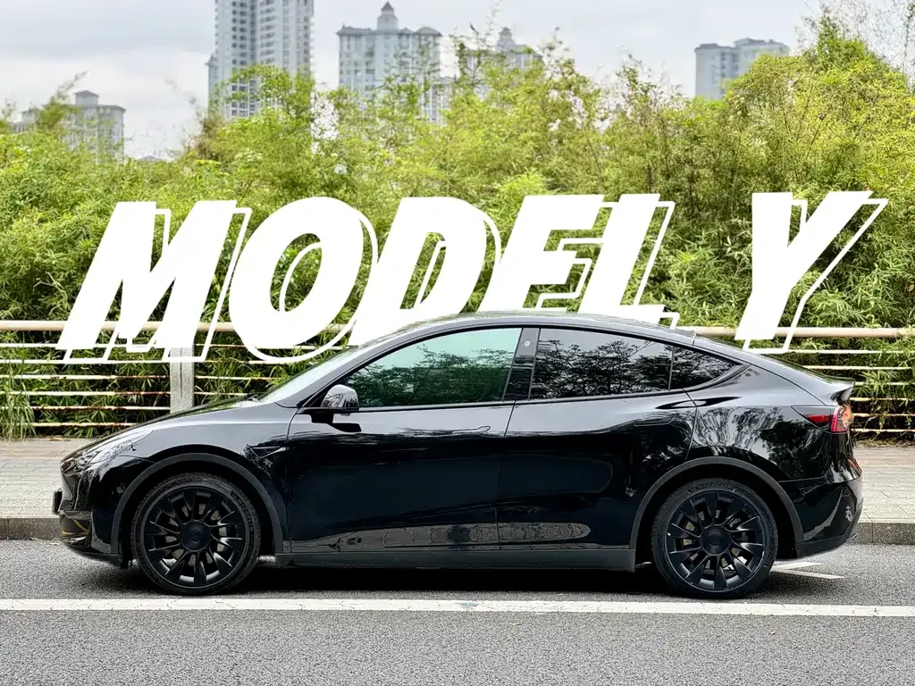 Tesla Model Y 2022 из CN, фото 6