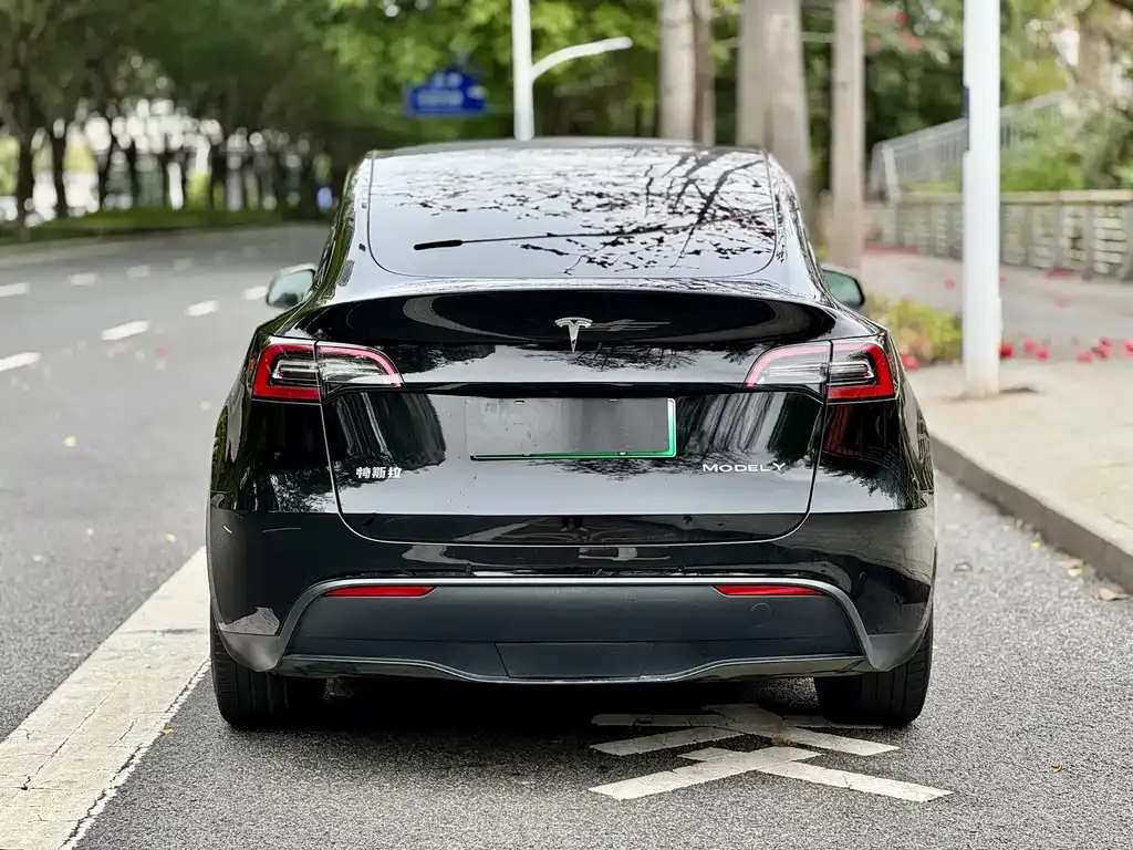 Tesla Model Y 2022 из CN, фото 9