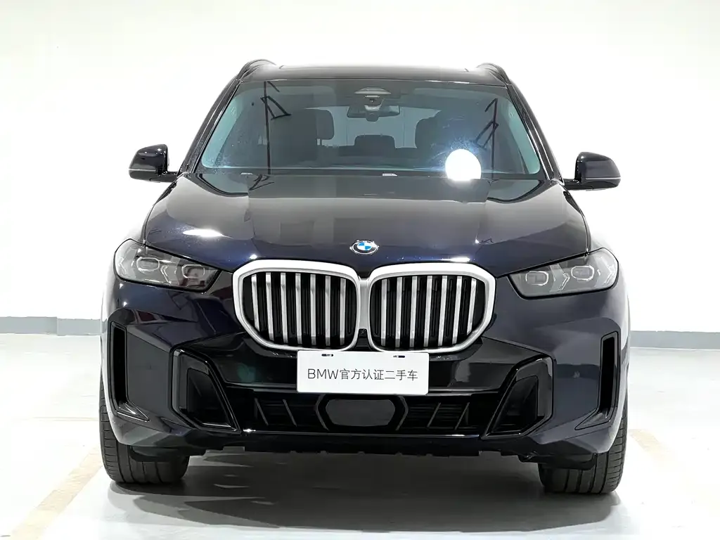 BMW X5 — фото 8