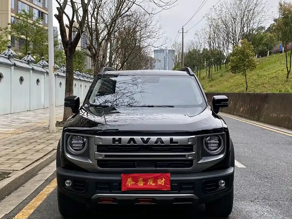 Haval Big Dog 2025 из CN, фото 4