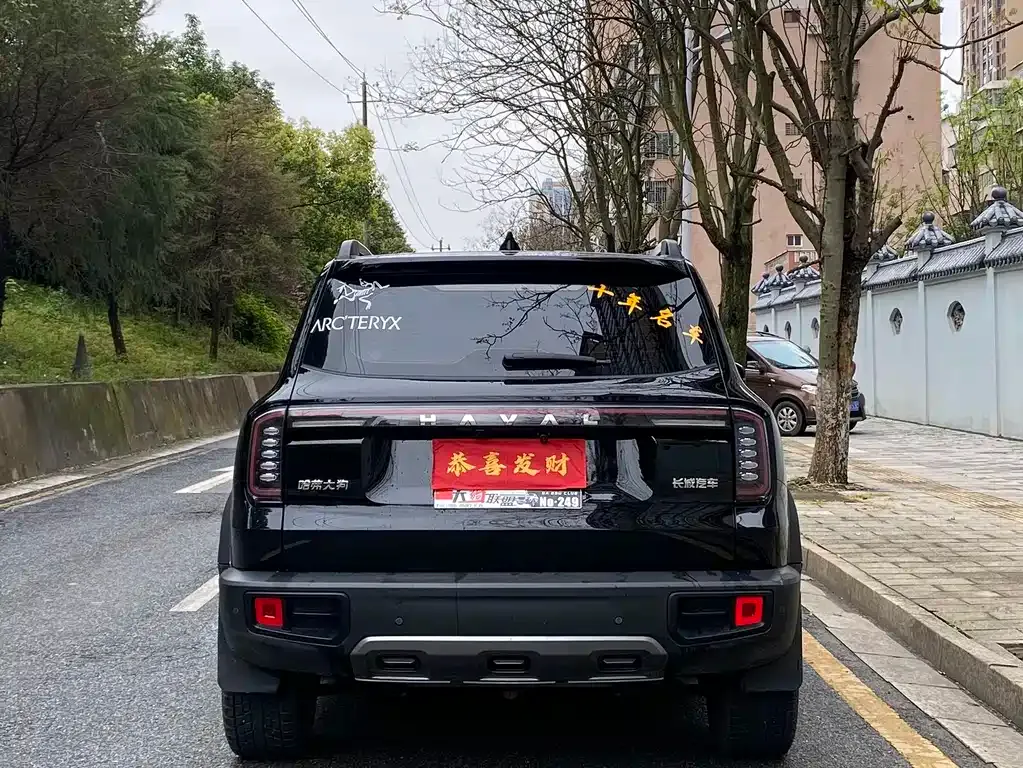 Haval Big Dog 2025 из CN, фото 7