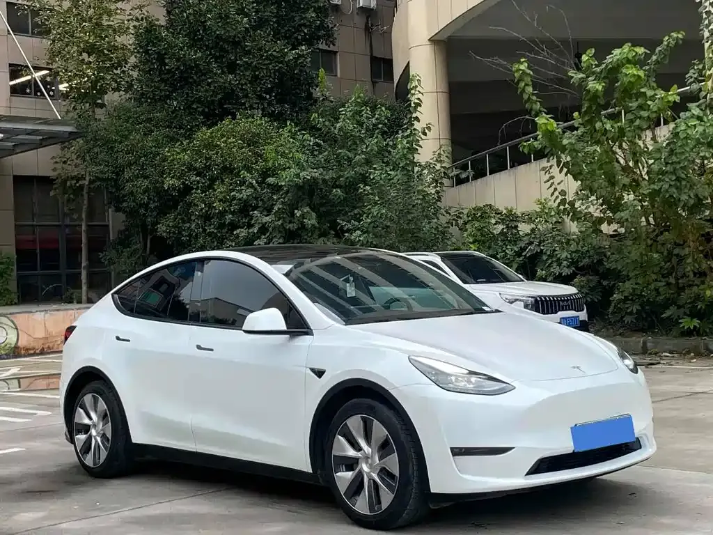 Tesla Model Y — фото 3