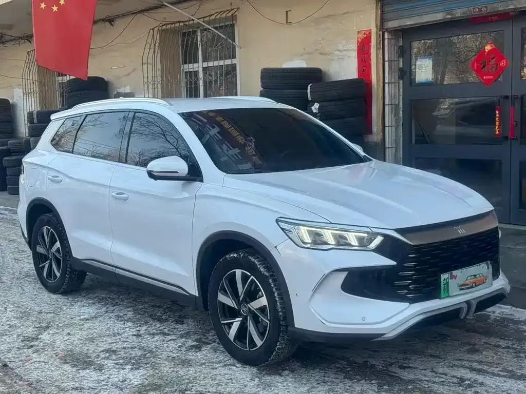 BYD Pro New Energy — фото 1