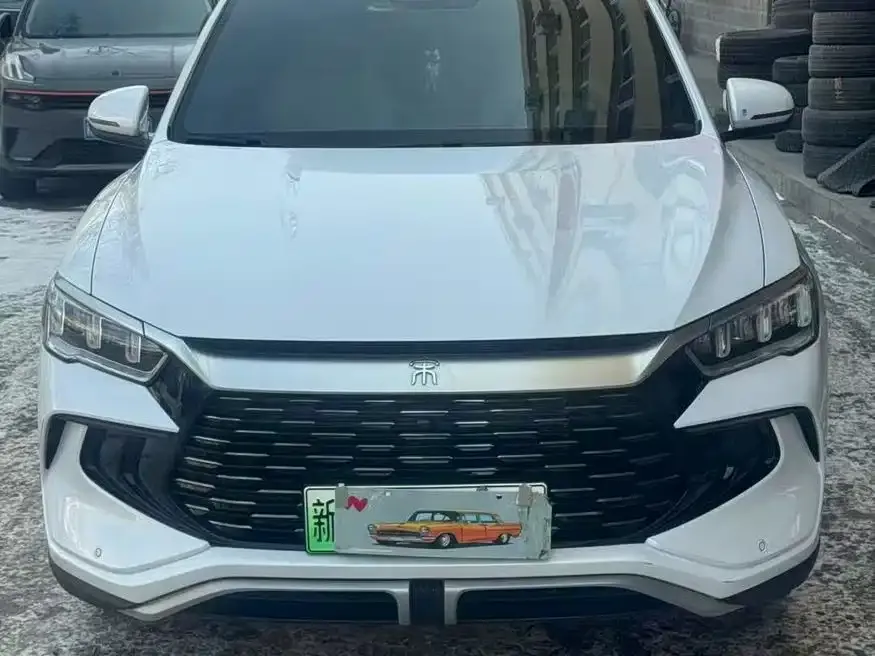 BYD Pro New Energy — фото 6