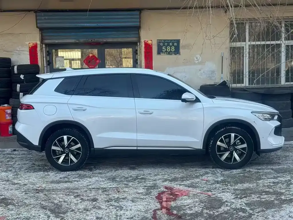 BYD Pro New Energy — фото 3
