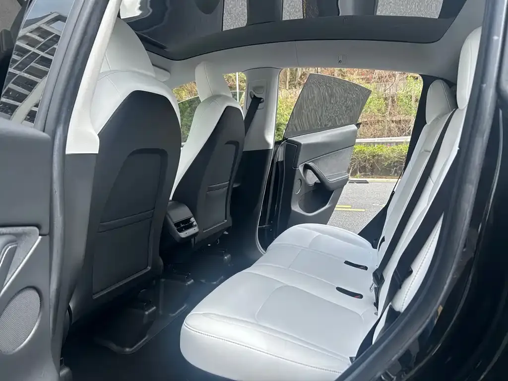 Tesla Model Y 2023 из CN, фото 4