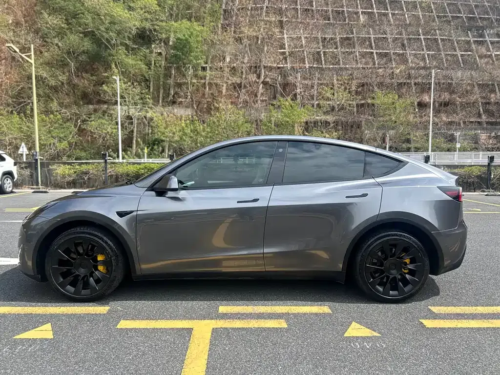 Tesla Model Y 2023 из CN, фото 6