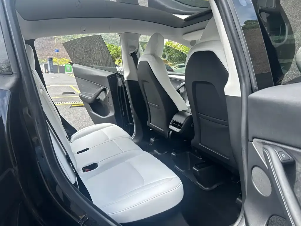 Tesla Model Y 2023 из CN, фото 9