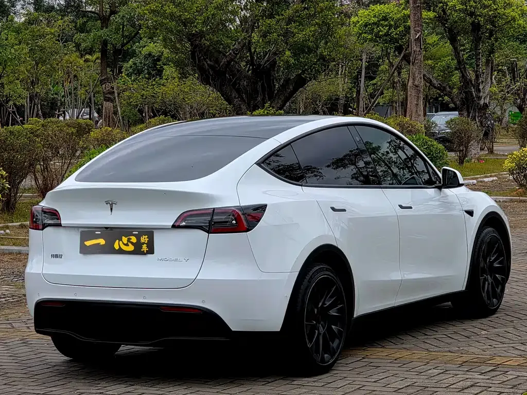 Tesla Model 3 2024 из CN, фото 10