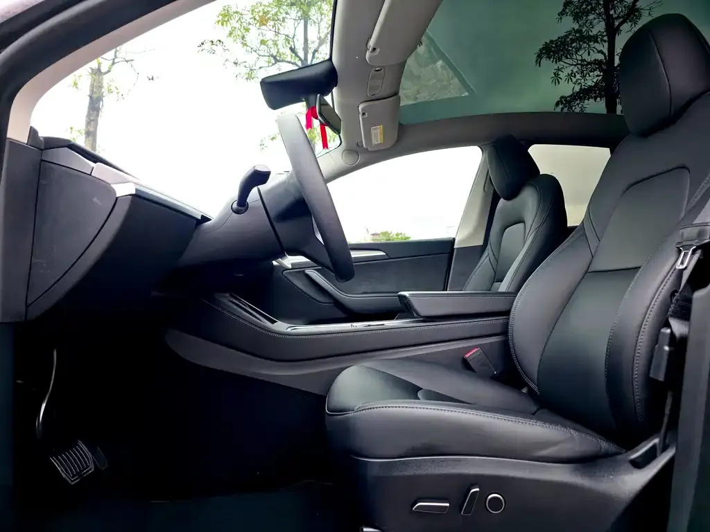 Tesla Model 3 2024 из CN, фото 6