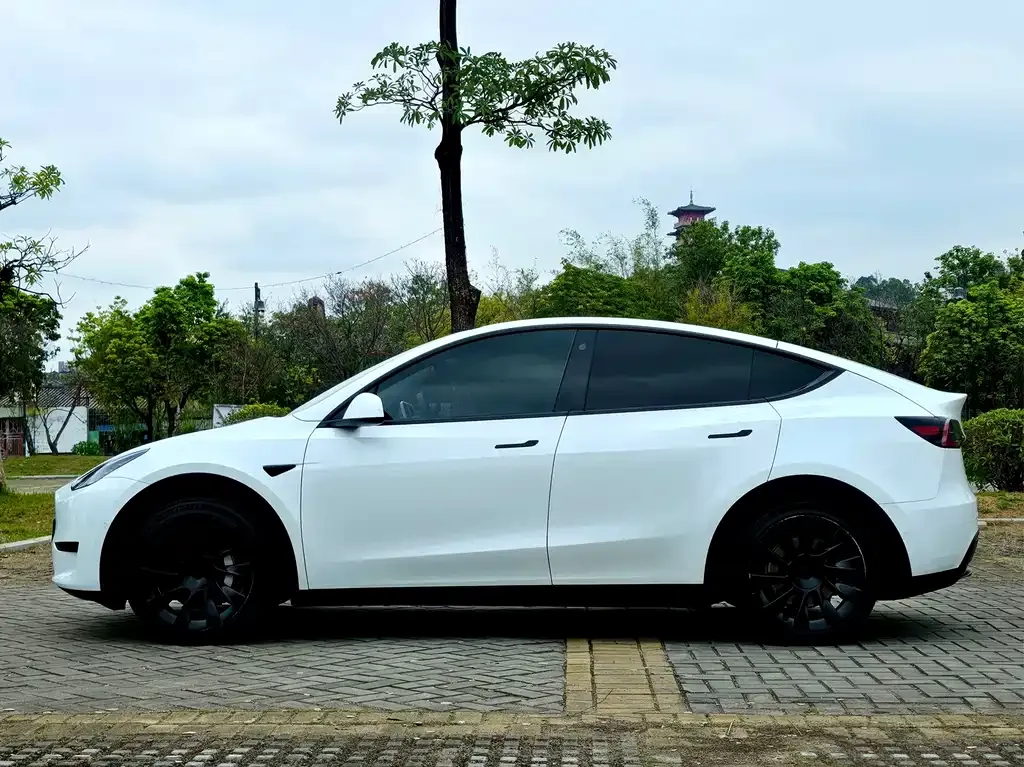 Tesla Model 3 2024 из CN, фото 4