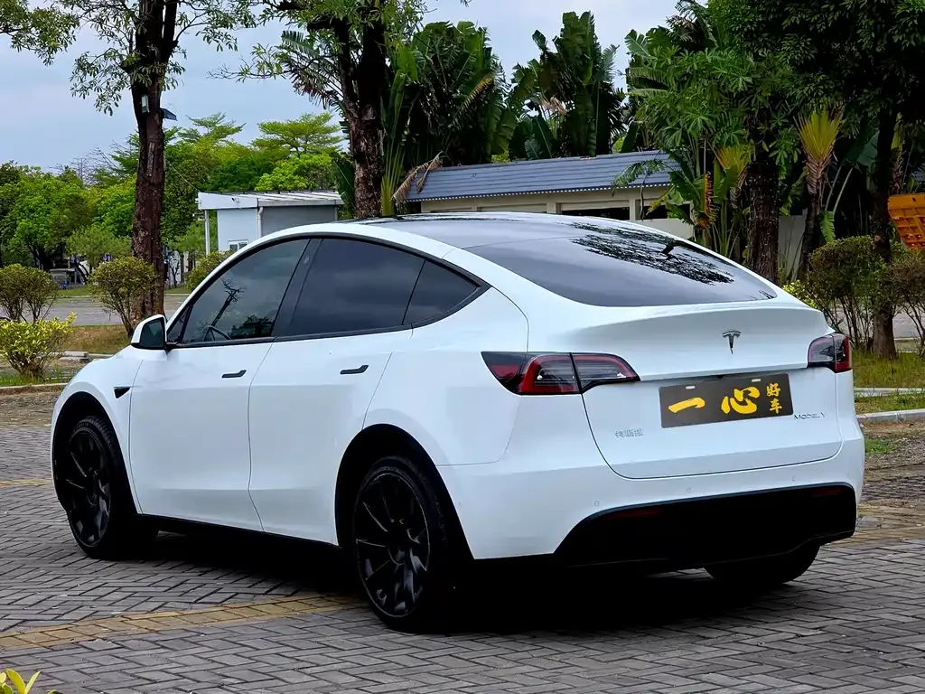 Tesla Model 3 2024 из CN, фото 9