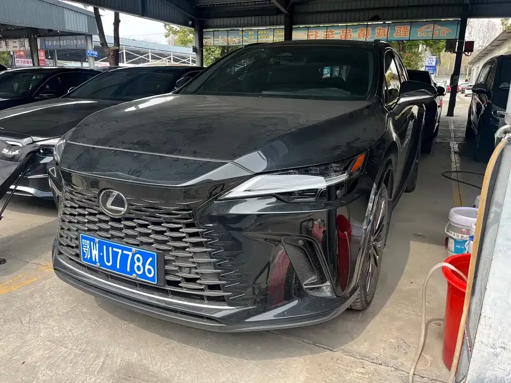 Lexus RX 2023 из CN, фото 1