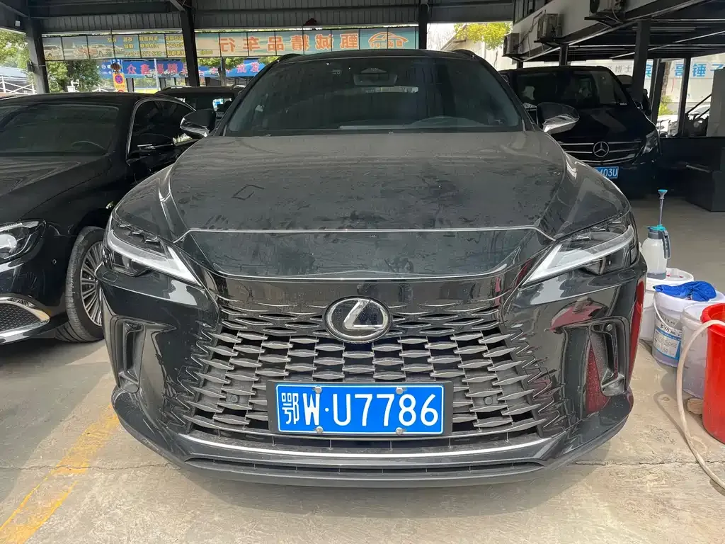 Lexus RX 2023 из CN, фото 6