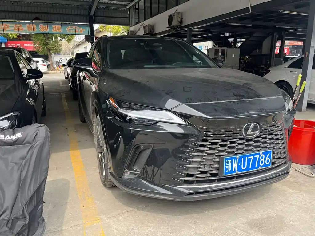 Lexus RX 2023 из CN, фото 7