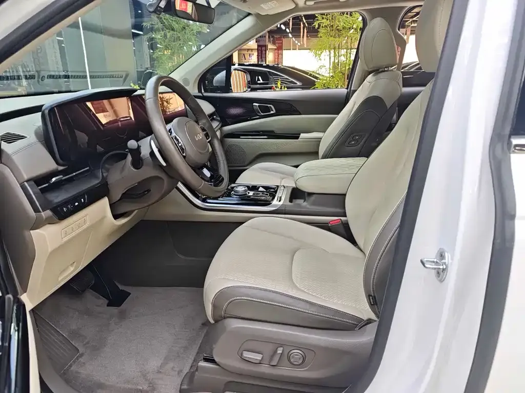 Kia Carnival 2021 из CN, фото 10