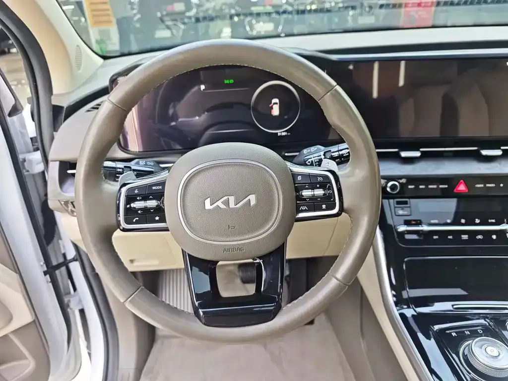 Kia Carnival 2021 из CN, фото 9