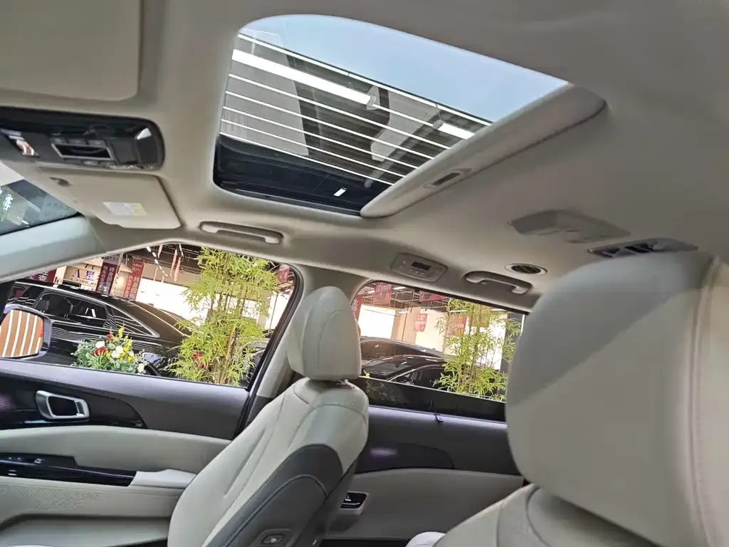 Kia Carnival 2021 из CN, фото 4