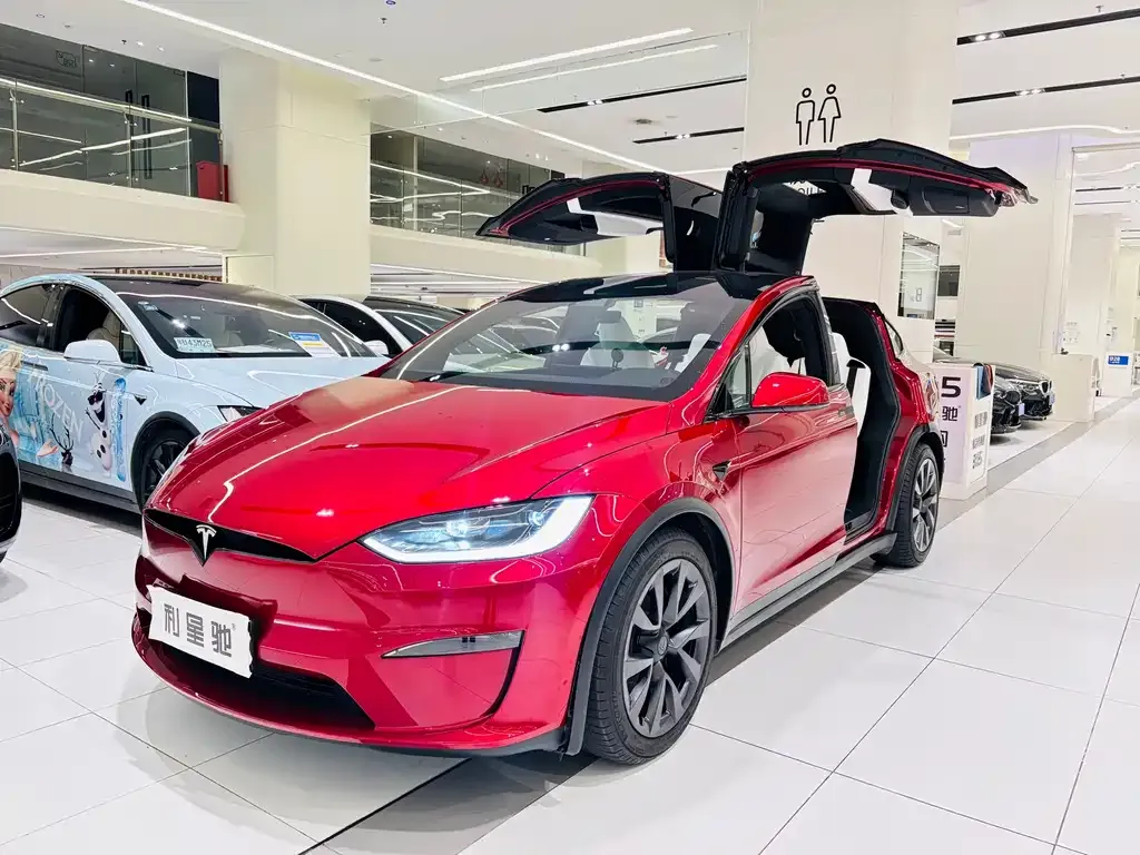 Tesla Model X — фото 5