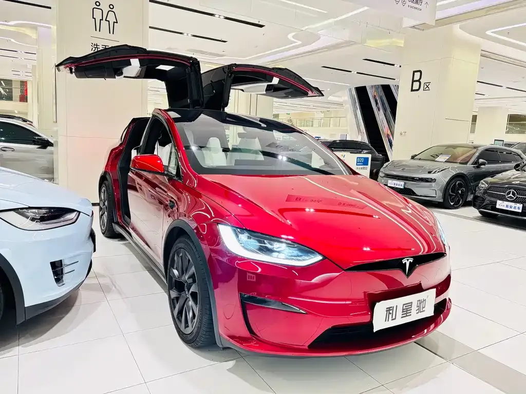 Tesla Model X — фото 10