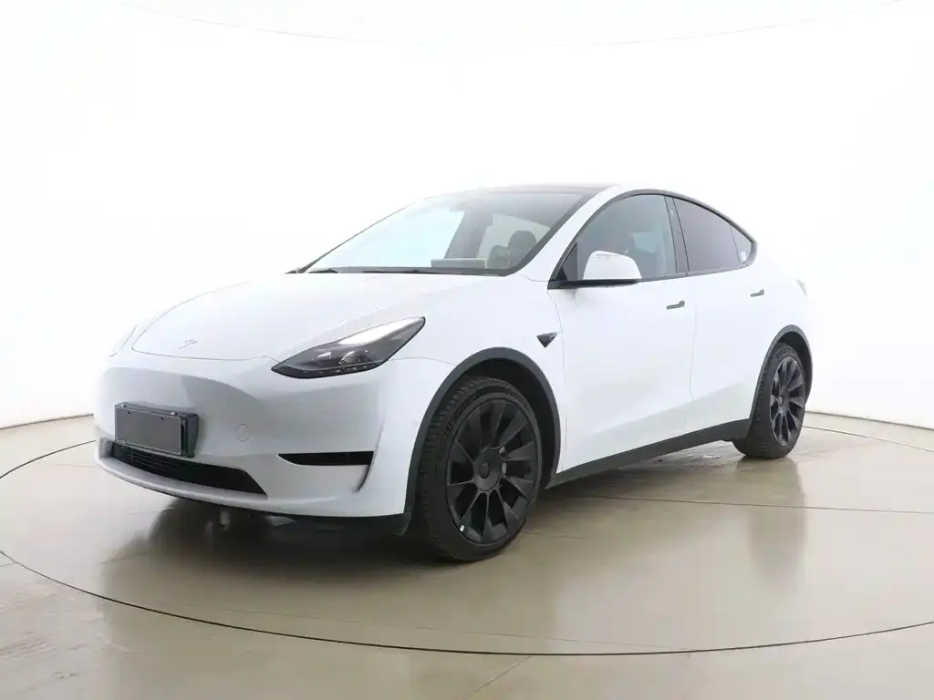 Tesla Model Y 2023 из CN, фото 1