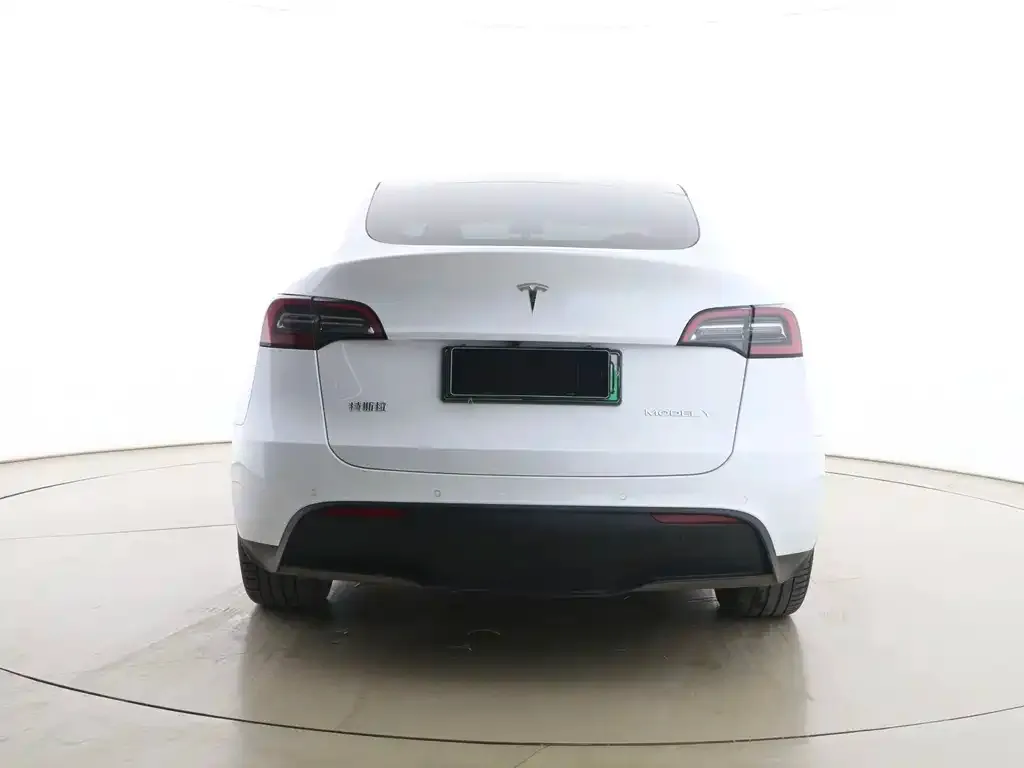 Tesla Model Y 2023 из CN, фото 2