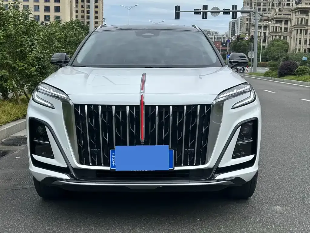 Hongqi HS3 2023 из CN, фото 9
