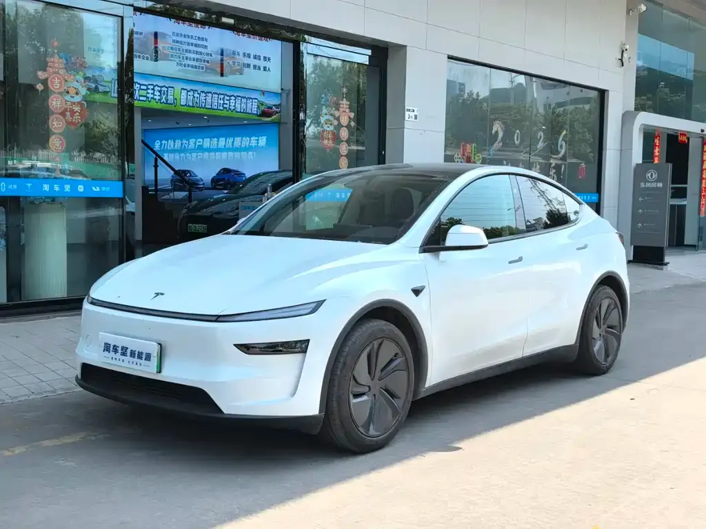 Tesla Model Y — фото 1