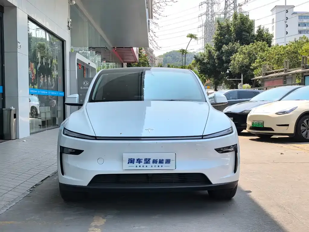 Tesla Model Y — фото 2