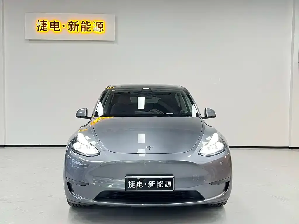 Tesla Model Y — фото 2