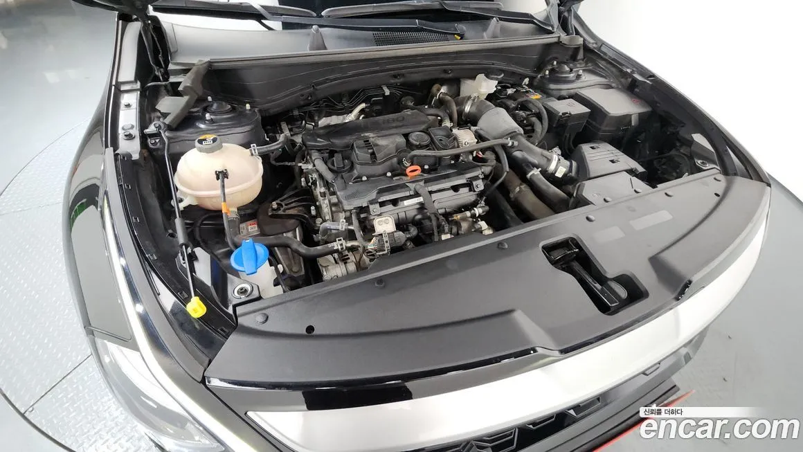 Kia Sportage — фото 9