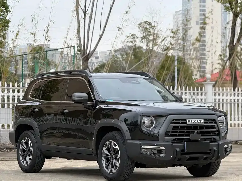 Haval Big Dog 2024 из CN, фото 6