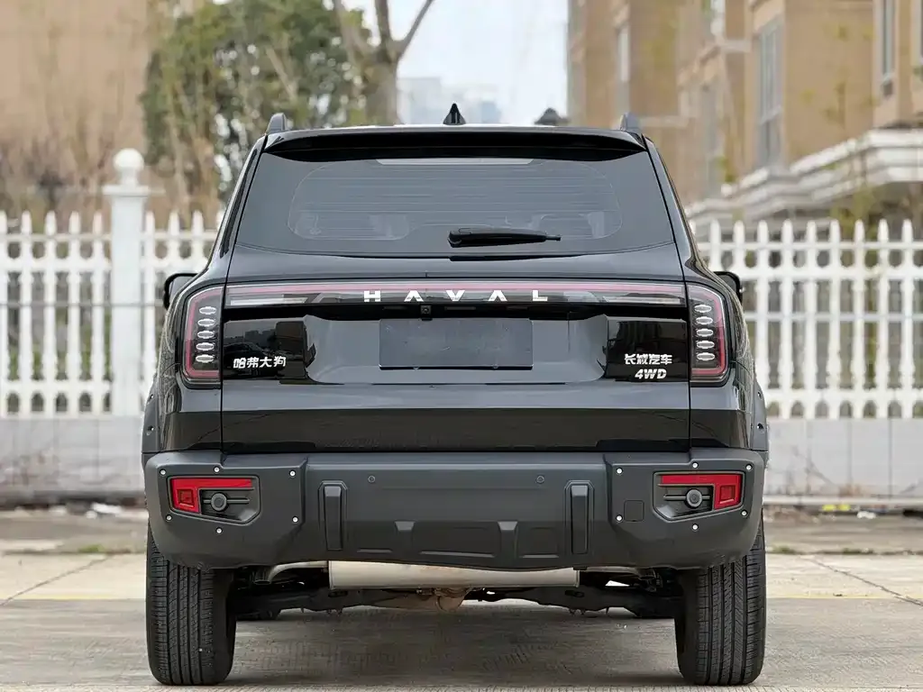 Haval Big Dog 2024 из CN, фото 4