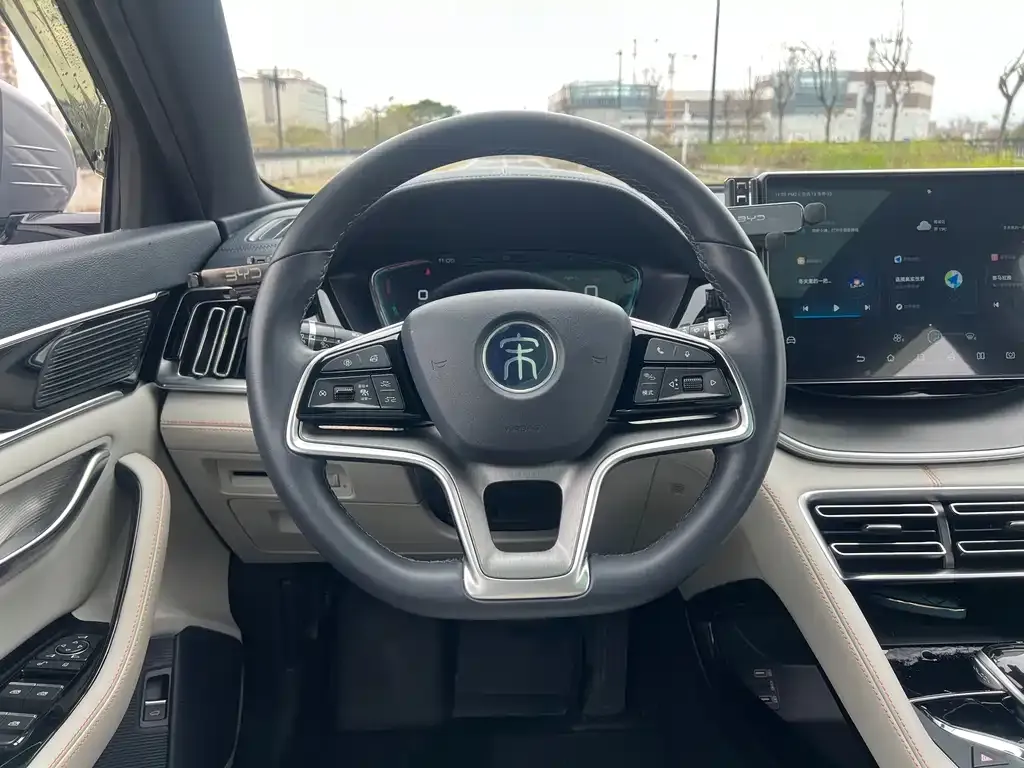 BYD PLUS New Energy 2022 из CN, фото 7