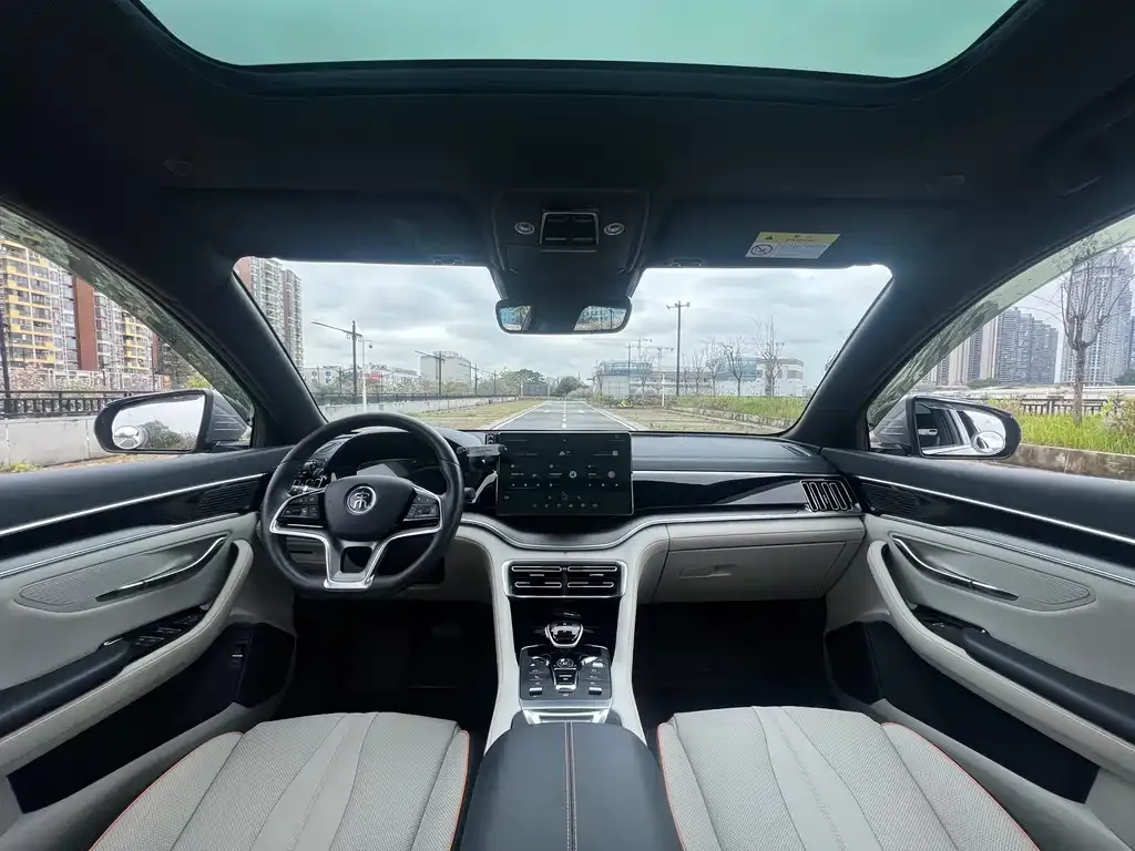 BYD PLUS New Energy 2022 из CN, фото 5