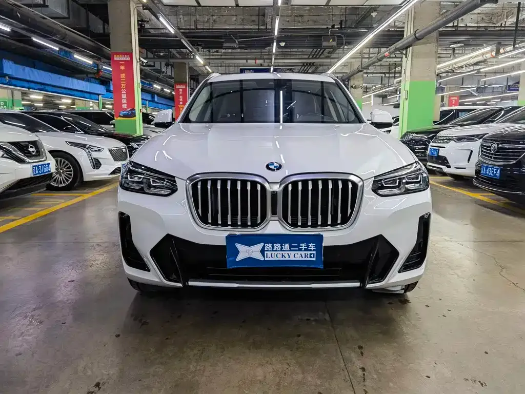 BMW X3 2023 из CN, фото 9