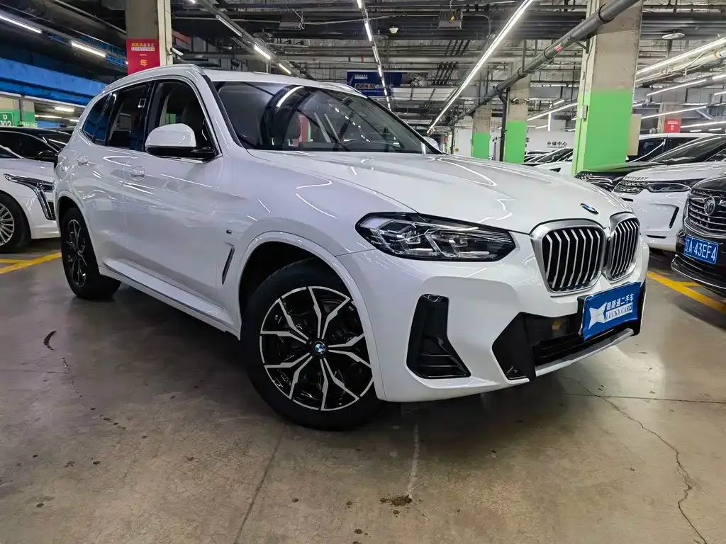 BMW X3 2023 из CN, фото 3