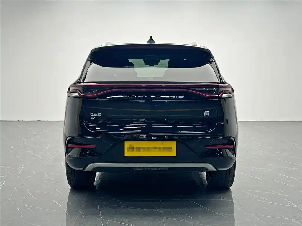 BYD Tang New Energy 2022 из CN, фото 7