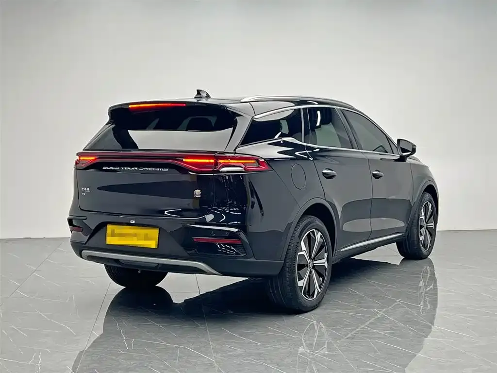 BYD Tang New Energy 2022 из CN, фото 2