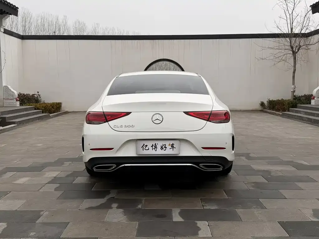 Mercedes-Benz CLS 2022 из CN, фото 3