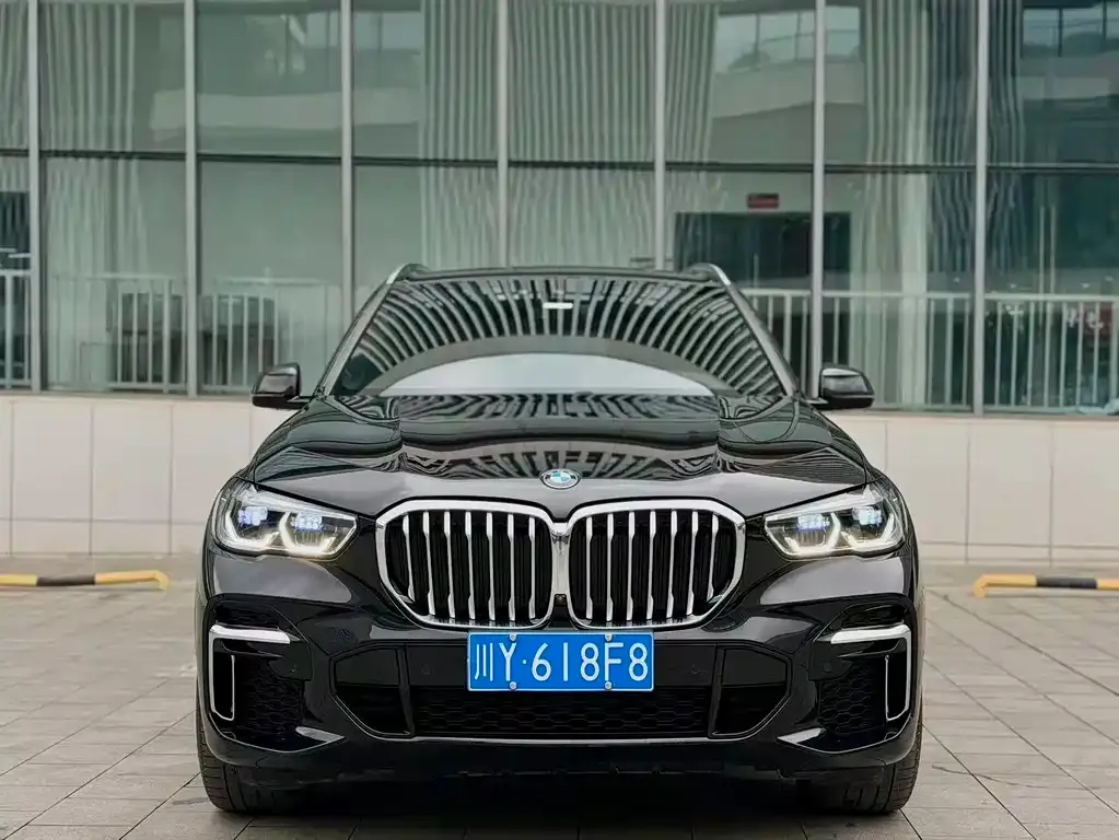 BMW X5 2023 из CN, фото 7