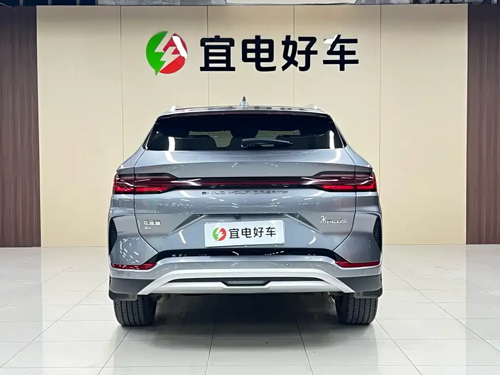 BYD PLUS New Energy 2024 из CN, фото 3