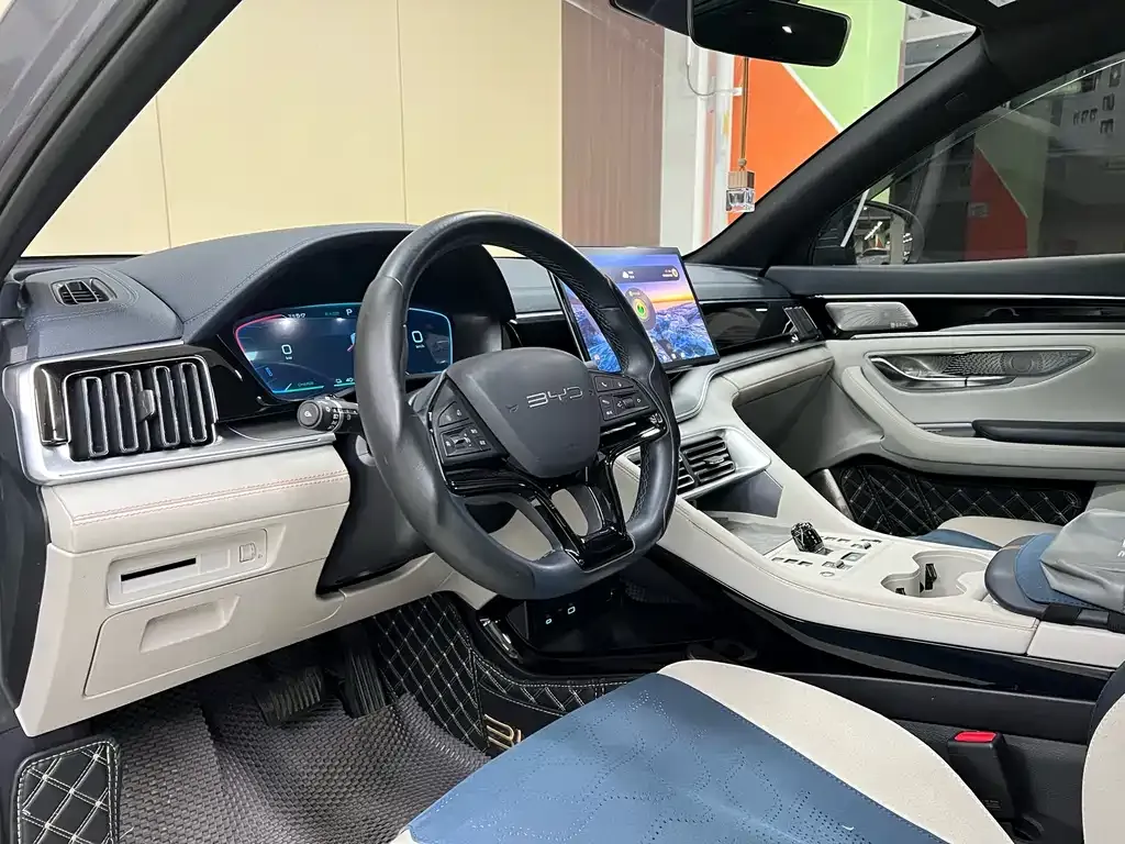 BYD PLUS New Energy 2024 из CN, фото 5