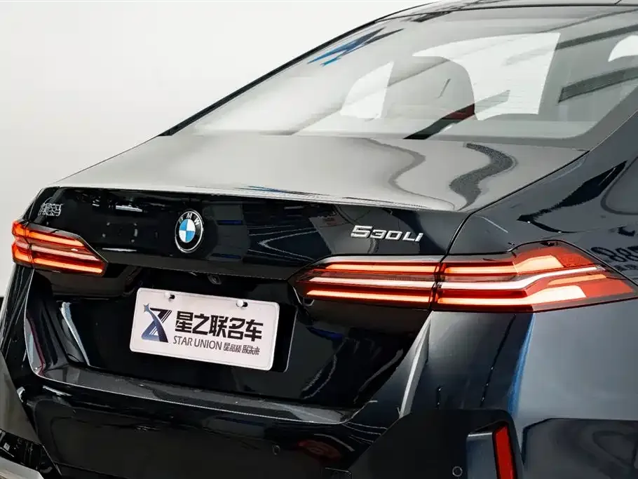 BMW 5 Series 2025 из CN, фото 3