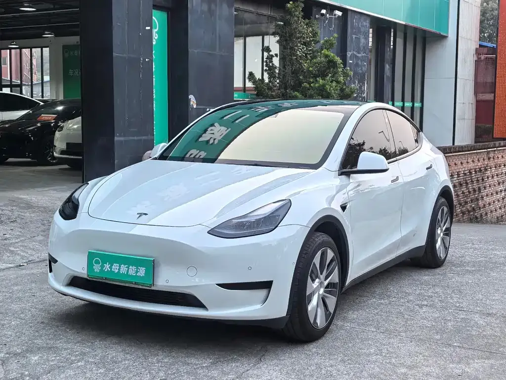 Tesla Model Y 2023 из CN, фото 1