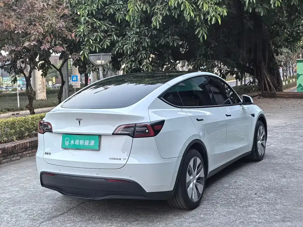 Tesla Model Y 2023 из CN, фото 4