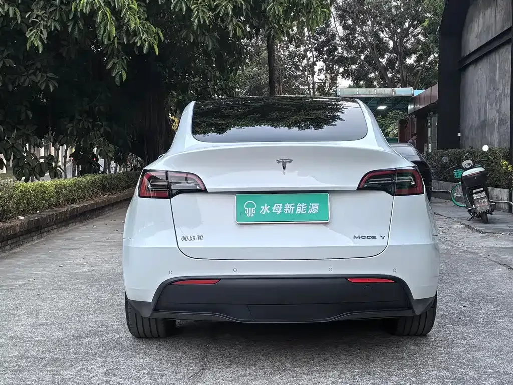 Tesla Model Y 2023 из CN, фото 10