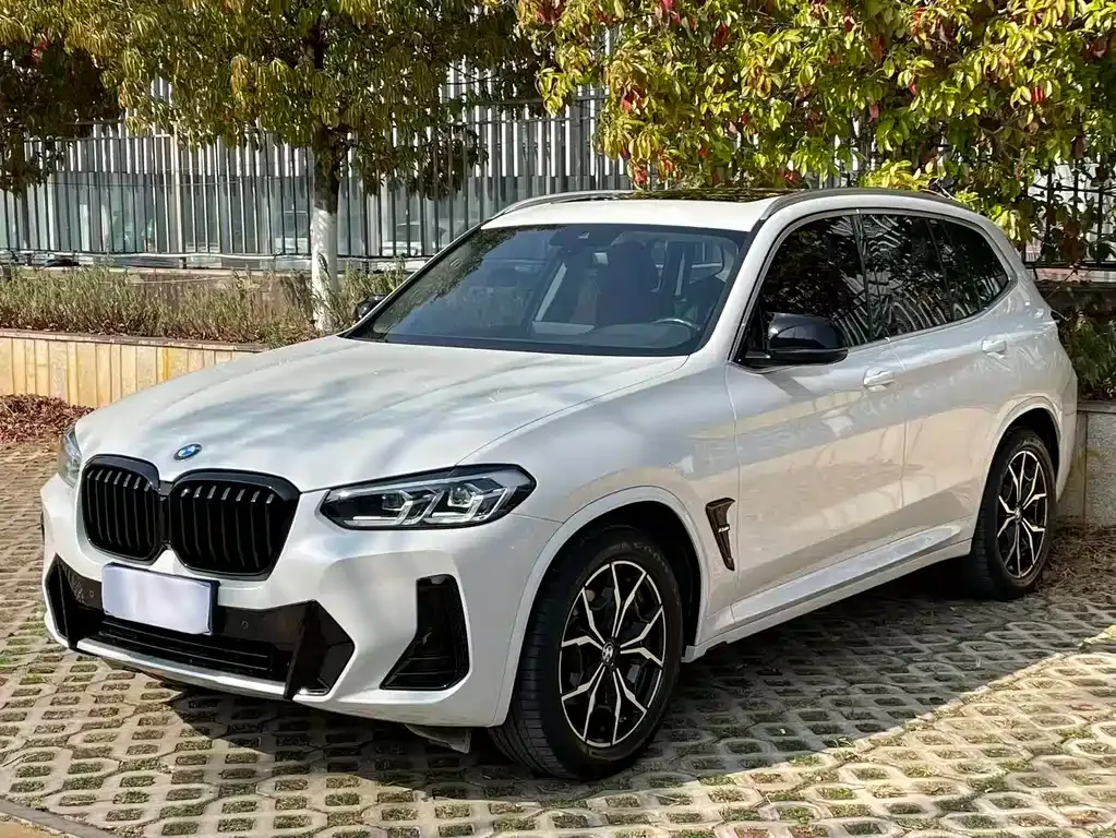 BMW X3 — фото 1