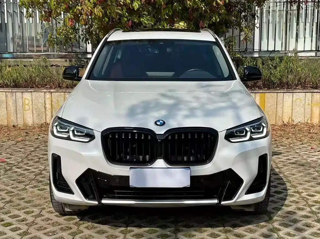 BMW X3 — фото 10