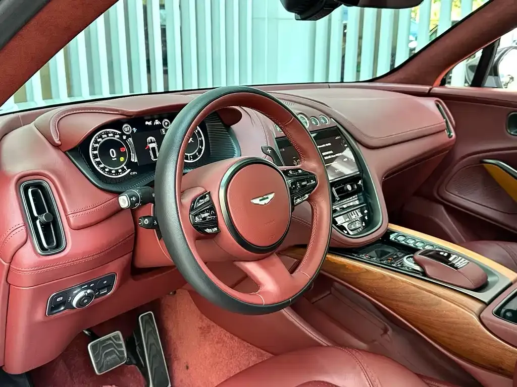 Aston Martin DBX 2021 из CN, фото 3